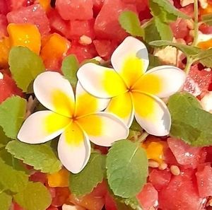 Meet your Posher, Mariska